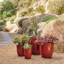 High Cup Pot with Saucer - Wine S