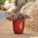 High Cup Pot with Saucer - Wine L