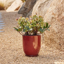 High Cup Pot with Saucer - Wine M