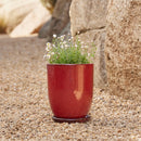 High Cup Pot with Saucer - Wine S