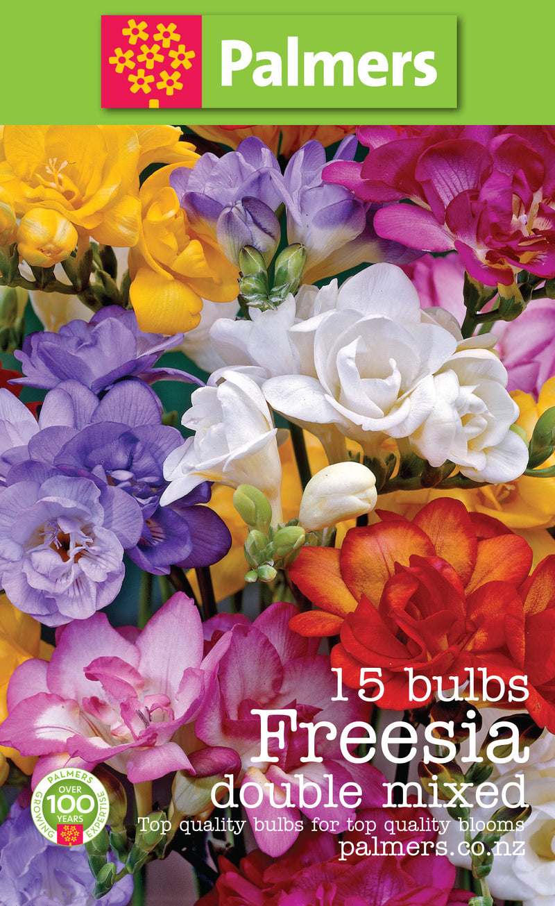 Palmers Freesia Double Bulbs - 15PK