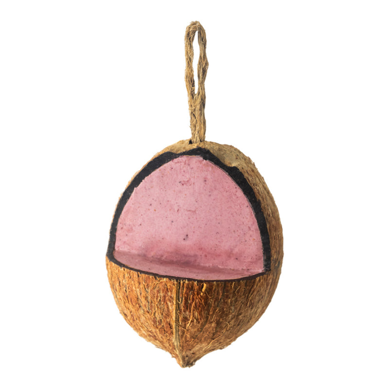 Cherry Energy Coconut Feeder – Limited Edition