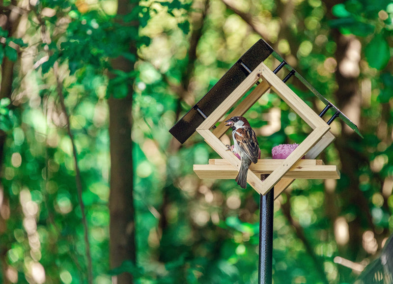 Topflite Wild Bird Feeder The Penthouse