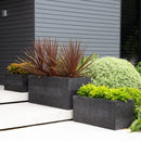 Winston Trough Java L