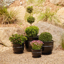 Belly Pot with Saucer - Black M