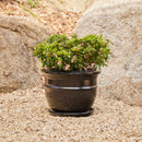 Belly Pot with Saucer - Black M