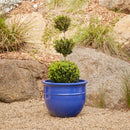 Belly Pot with Saucer - Blue XL