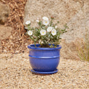 Belly Pot with Saucer - Blue S