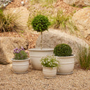 Belly Pot with Saucer - Cream M