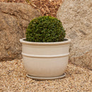 Belly Pot with Saucer - Cream L