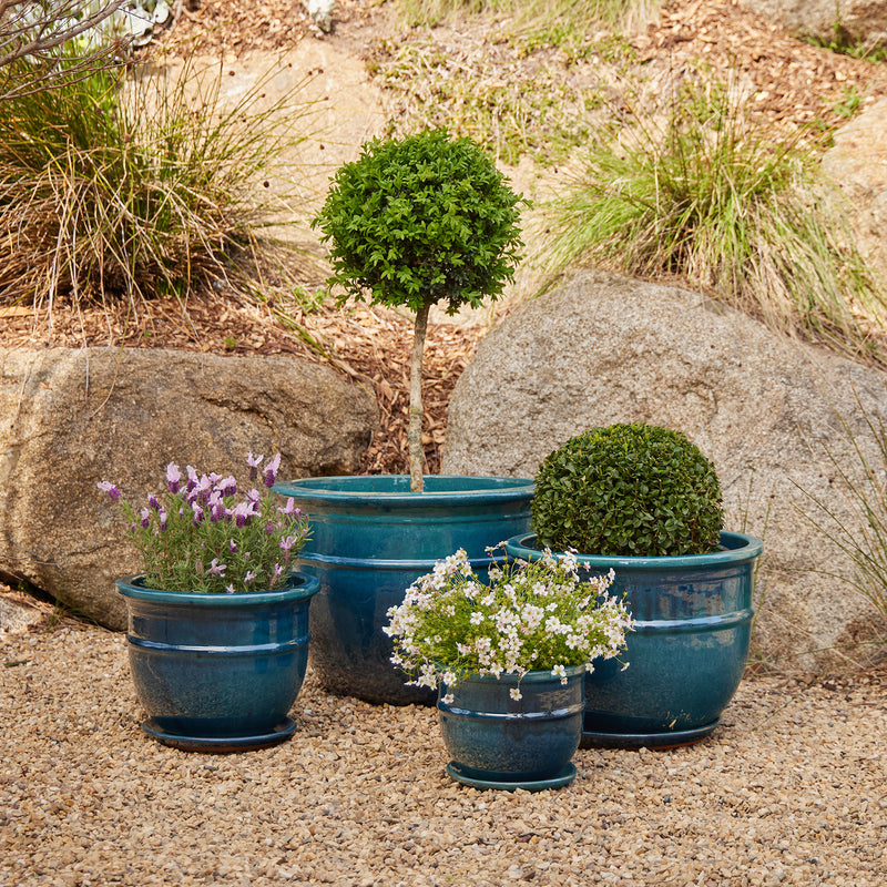 Belly Pot with Saucer - Green M