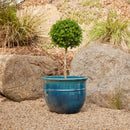 Belly Pot with Saucer - Green XL