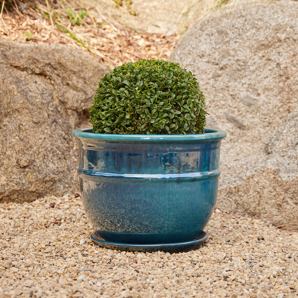 Belly Pot with Saucer - Green L
