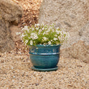 Belly Pot with Saucer - Green S