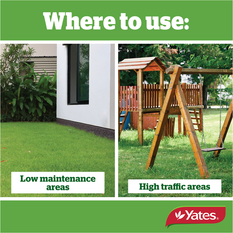Yates Lawn Seed Sow Anytime - 1Kg