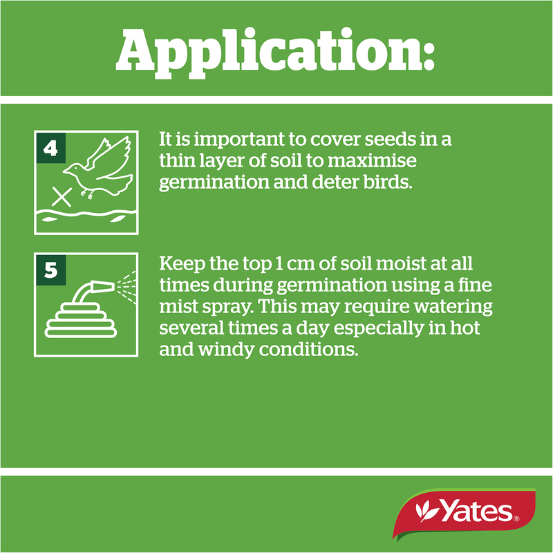 Yates Lawn Seed Sow Anytime - 1Kg