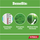 Yates Lawn Seed Sow Anytime - 1Kg