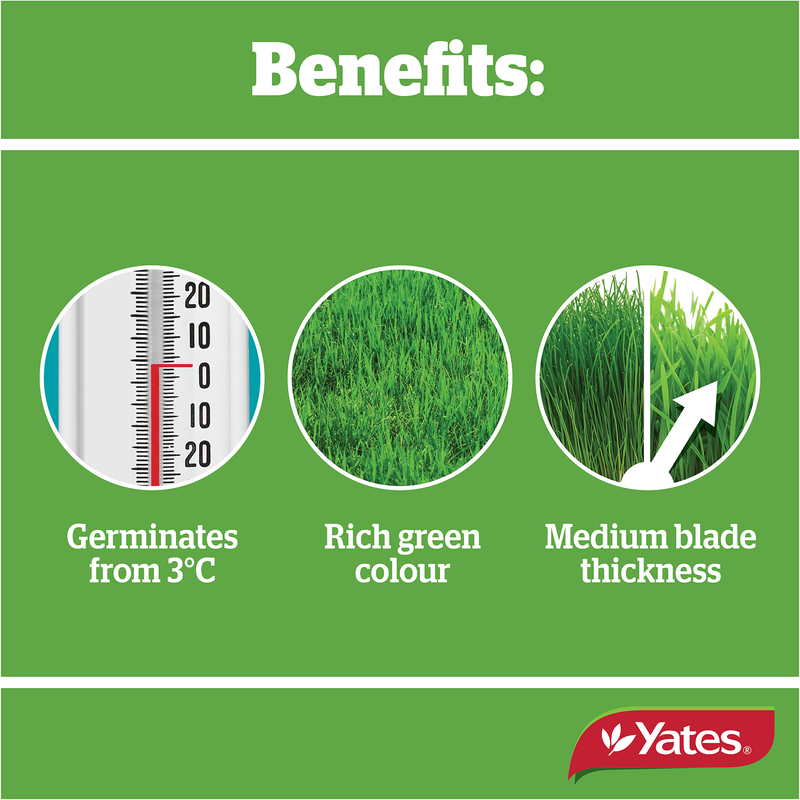 Yates Lawn Seed Sow Anytime - 1Kg
