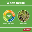 Yates Lawn Seed Sow Anytime - 1Kg
