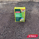 Yates Sow Anytime Lawn Seed - 500G