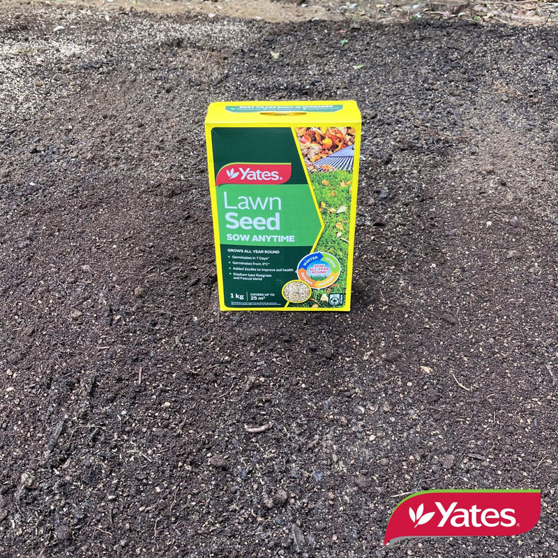 Yates Lawn Seed Sow Anytime - 1Kg
