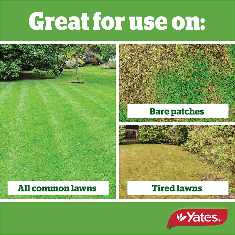 Yates Seed'n'Feed - 1KG