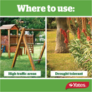 Yates Tall Fescue Lawn Seed - 1KG