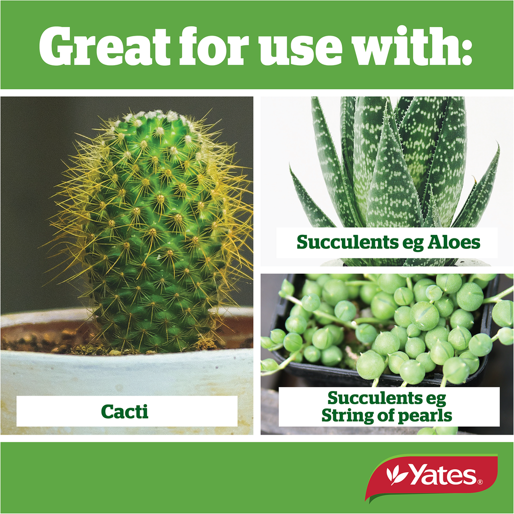 yates specialty potting mix cacti & succulents Yates Thrive Cacti & Succulent Potting Mix