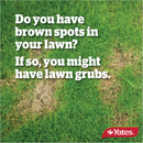 Yates Lawn Grub & Porina Kill + Protect - 750G