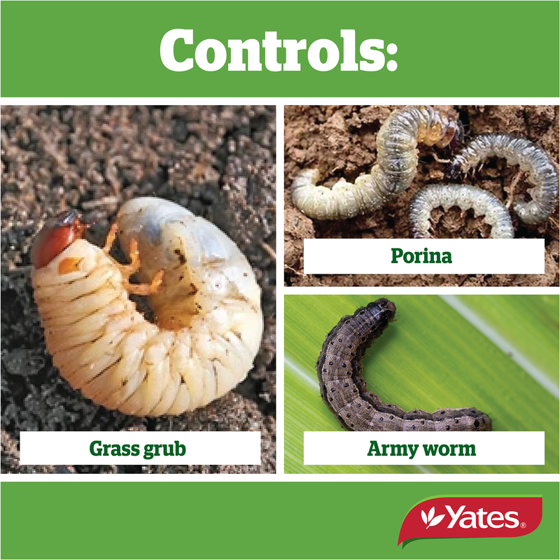 Yates Lawn Grub & Porina Kill + Protect - 750G
