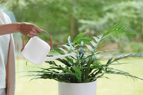 B For Soft Watering Can White 1.7L