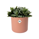 B For Soft Round Pot Pink 16CM
