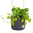 B For Swing Pot Anthracite 18CM