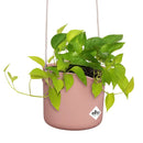 B For Swing Pot Pink 18CM