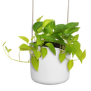 B For Swing Pot White 18CM