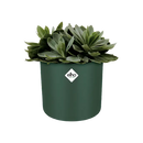 B For Soft Round Pot Leaf Green 16CM