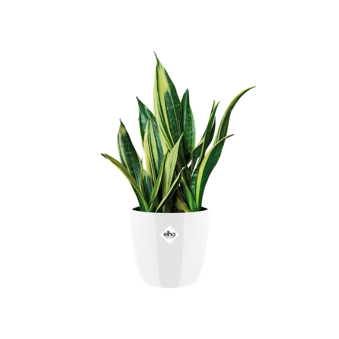 Brussels Diamond Pot Round White 18CM
