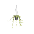 Brussels Hanging Basket Cord Anthracite 18CM