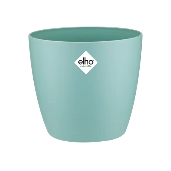 Brussels Round Pot Mint 18CM