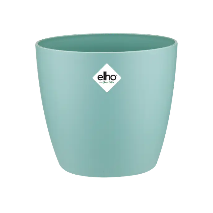Brussels Round Pot Mint 16CM