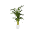 Brussels Round Pot Oyster Pearl 16CM