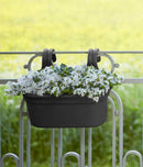 Green Basics Easy Hanger Black L