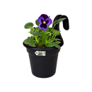 Green Basics Easy Hanger Black S