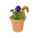 Green Basics Easy Hanger Terra S