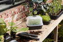 Green Basics Grow House Lid Transparent S
