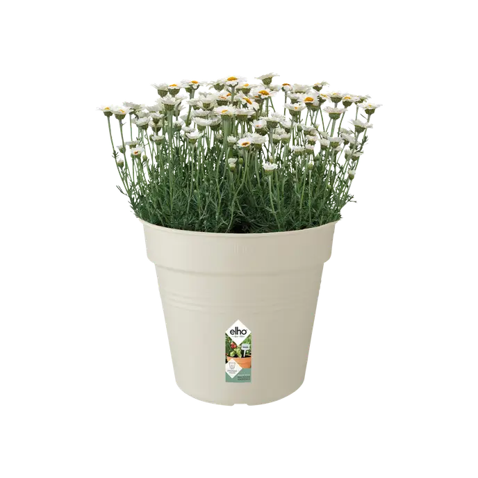 Green Basics Grow Pot White 30CM