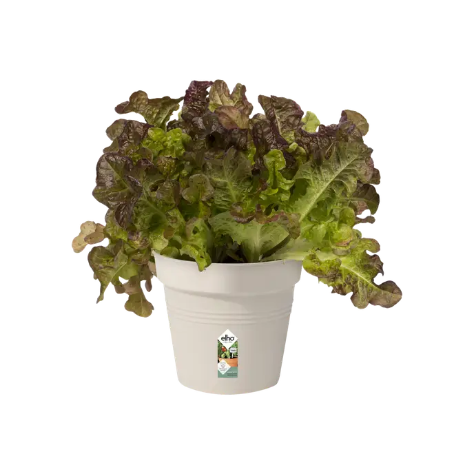Green Basics Grow Pot Green 21CM