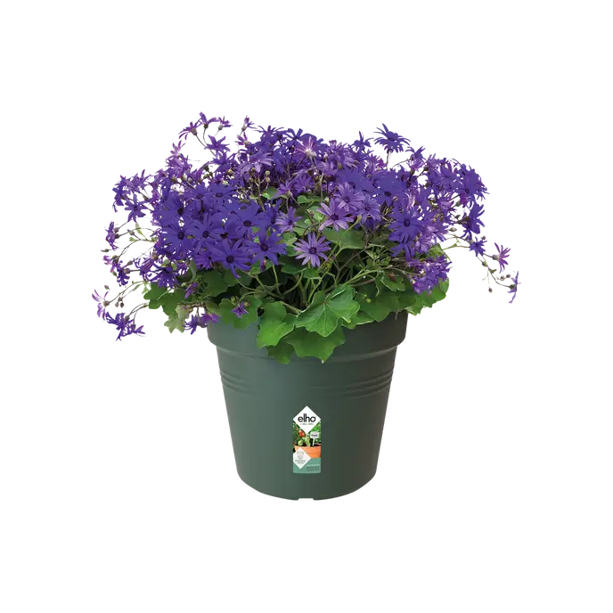 Green Basics Grow Pot Green 19CM