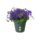 Green Basics Grow Pot Green 40CM