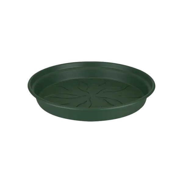 Green Basics Saucer Green 22CM